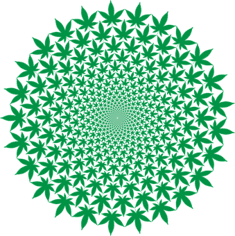 A Circular Pattern Of Green Leaves