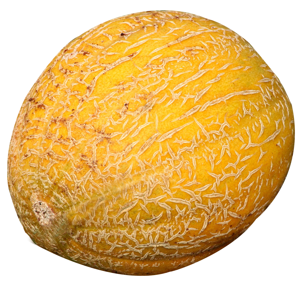 Cantaloupe Png 1000 X 931