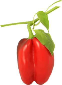 A Red Pepper With Green Leaves