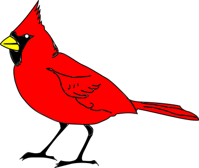 A Red Bird With Yellow Beak