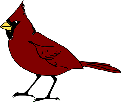 A Red Bird With Yellow Beak