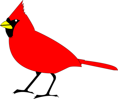A Red Bird With Yellow Eyes And Black Background