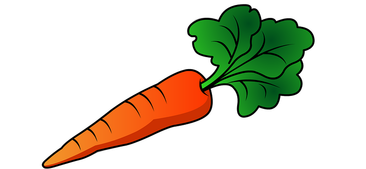 Carrot Png 736 X 340