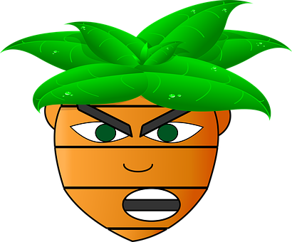 Carrot Png 410 X 340
