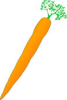 Carrot Png 228 X 340