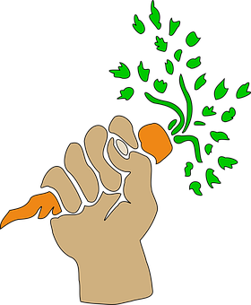 Carrot Png 280 X 340