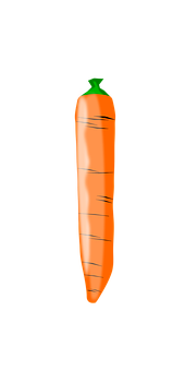 Carrot Png 170 X 340