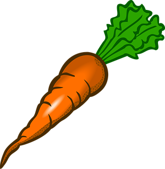 Carrot Png 331 X 340