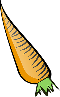 Carrot Png 211 X 340