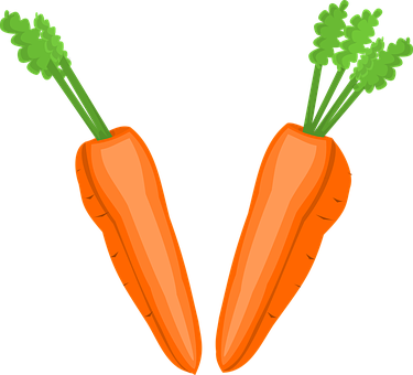 Carrot Png 375 X 340