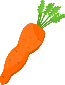 Carrot Png 263 X 340