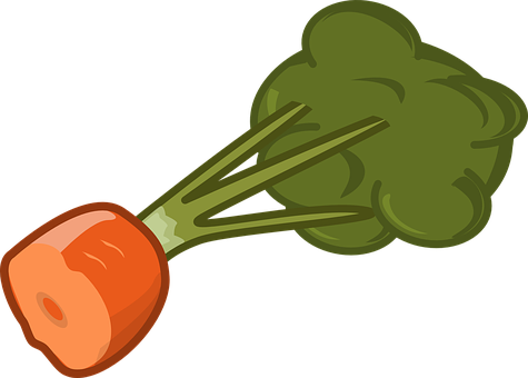 Carrot Png 475 X 340