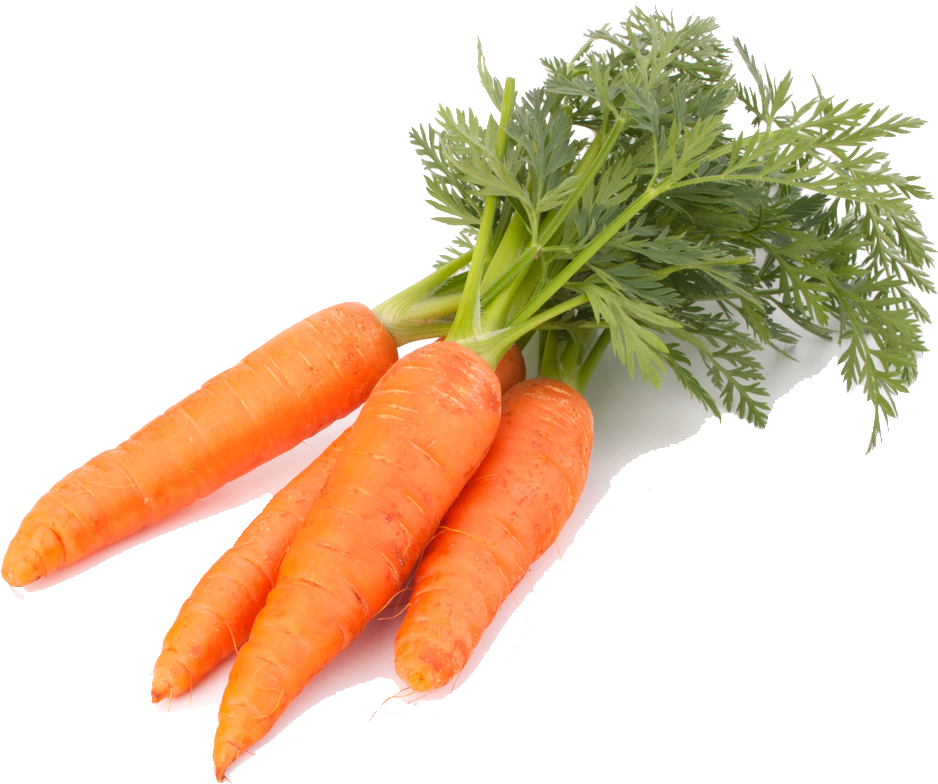 Carrot Png