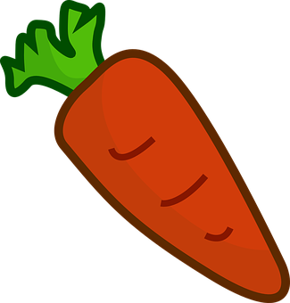 Carrot Png 325 X 340