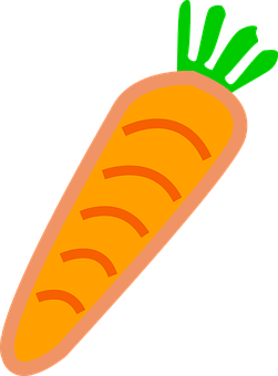 Carrot Png 251 X 340