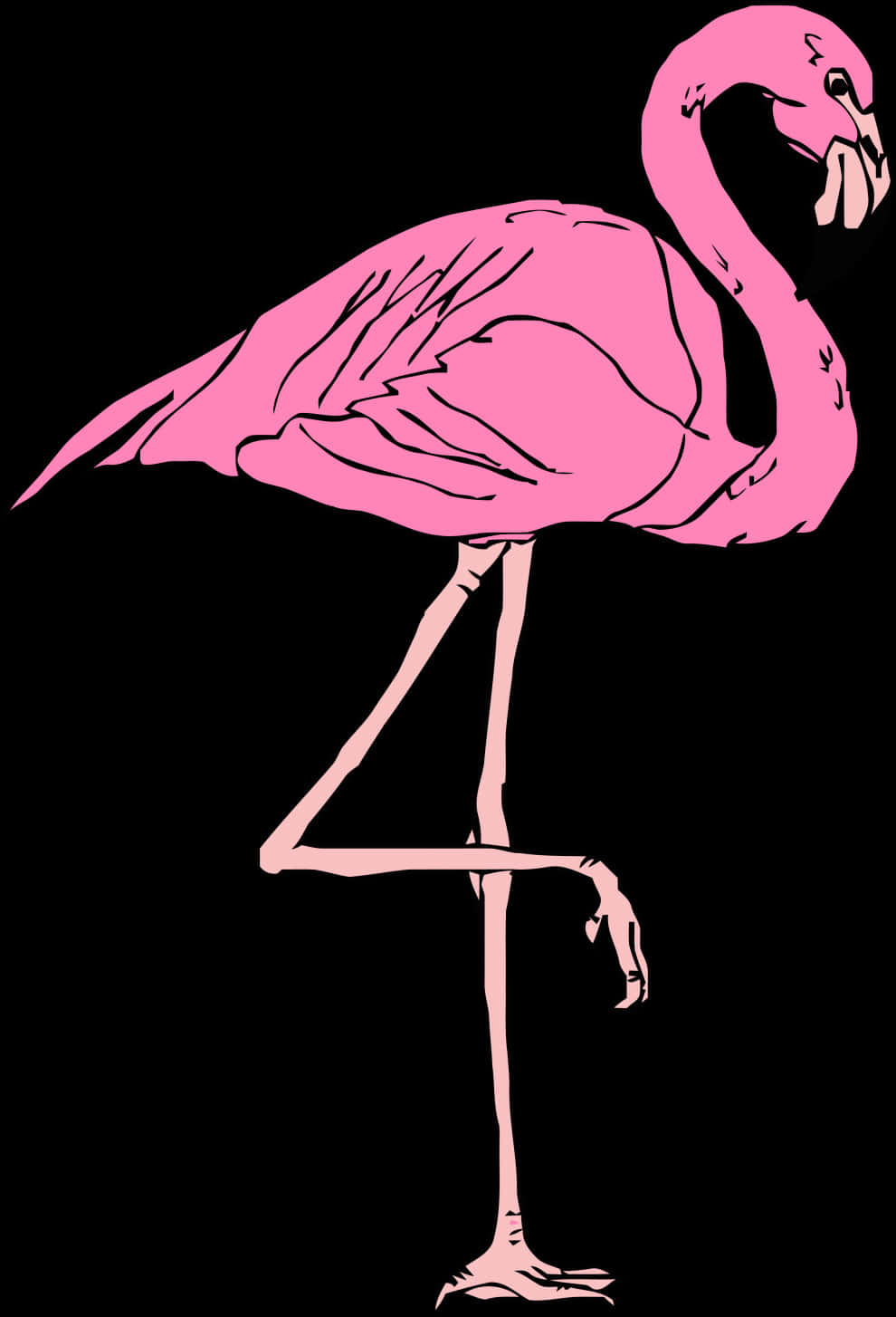 Pink Flamingo Bird Cartoon
