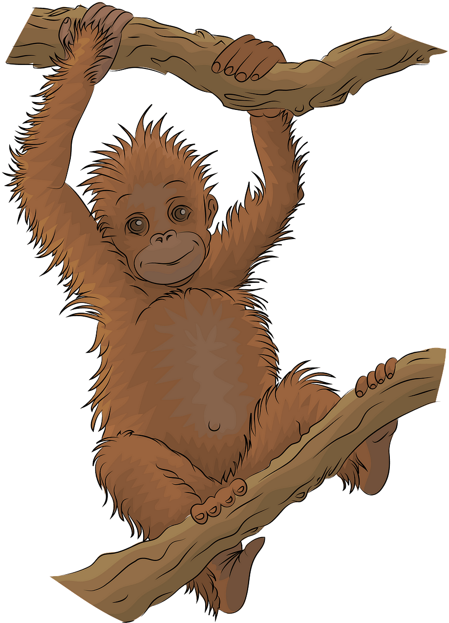 A Cartoon Of A Monkey Holding A Tree Branch