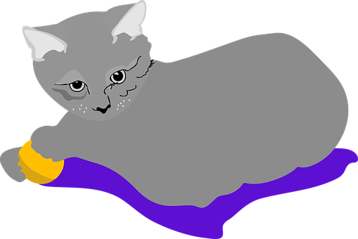 Cat Png 509 X 340
