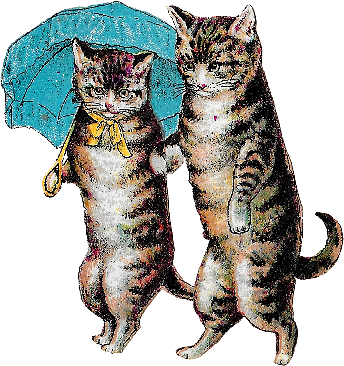 Two Cats Standing Under An Umbrella