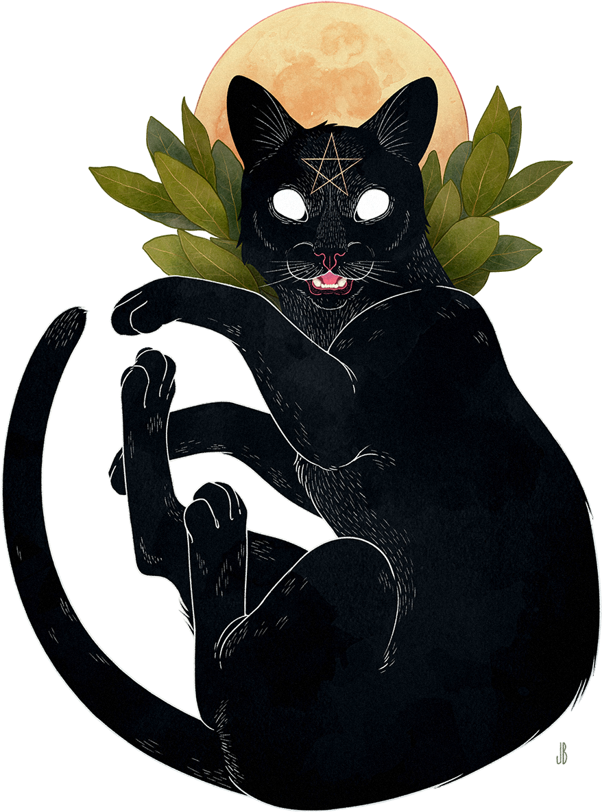 A Black Cat With A Star On Its Head