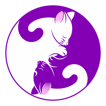 A White Cat With Purple Tail And Purple Tail