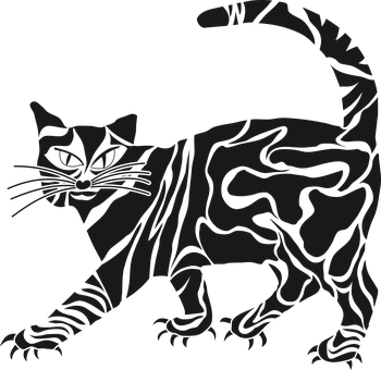 A Black Cat With A Black Background
