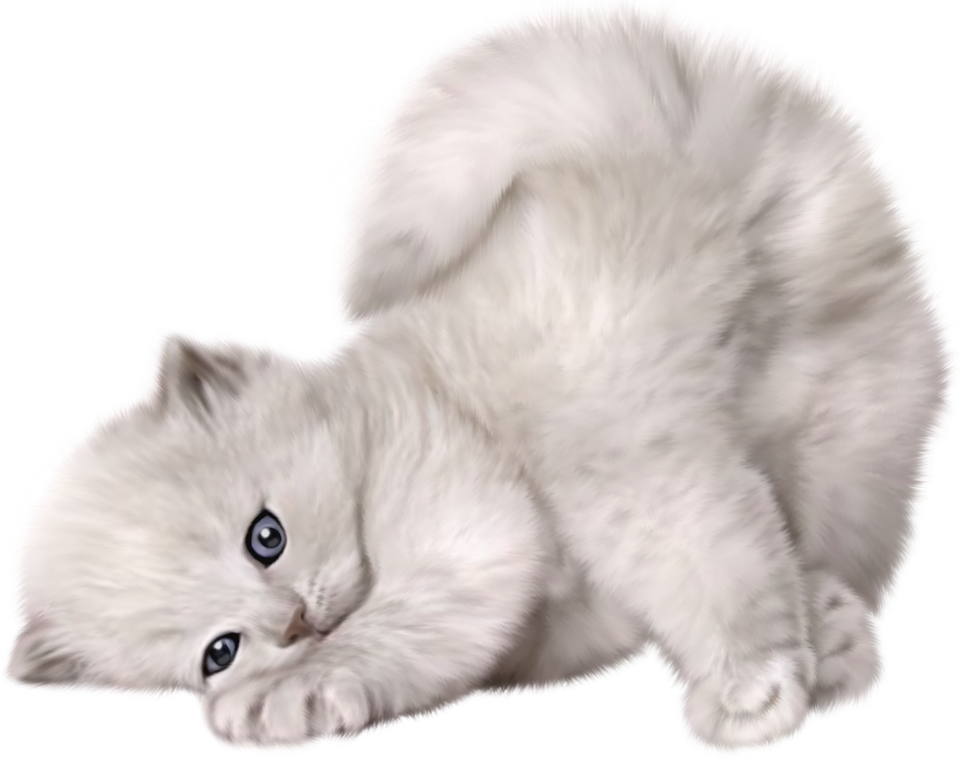 Cat Png - Cute Cat Transparent Background, Png Download