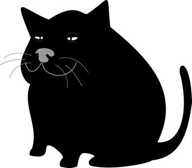 A Cat Face In The Dark
