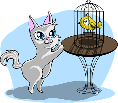 A Cat Looking At A Bird In A Cage