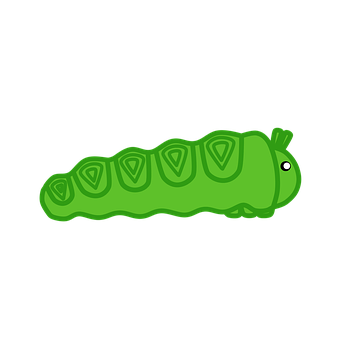 A Green Caterpillar On A Black Background