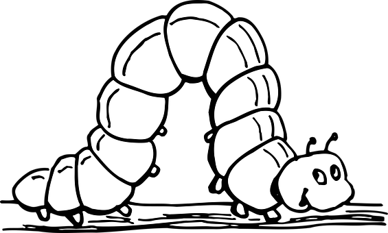 A Black And White Drawing Of A Caterpillar