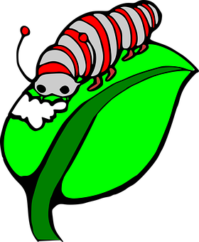 A Cartoon Of A Caterpillar On A Leaf