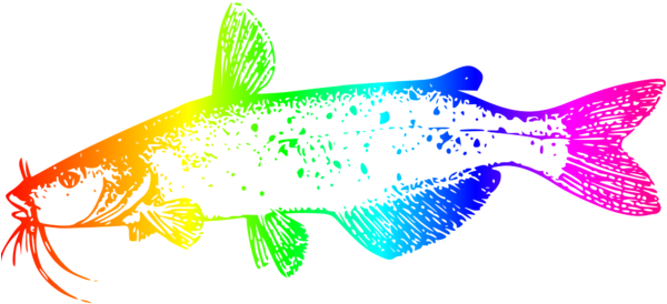 A Rainbow Colored Fish On A Black Background