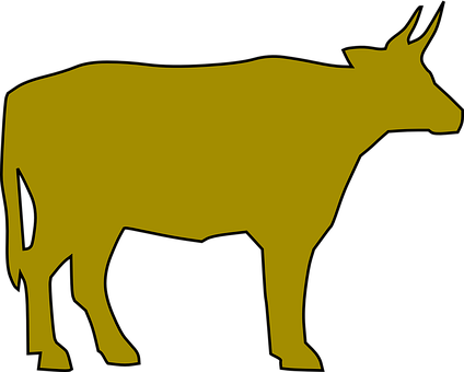A Yellow Cow With Horns