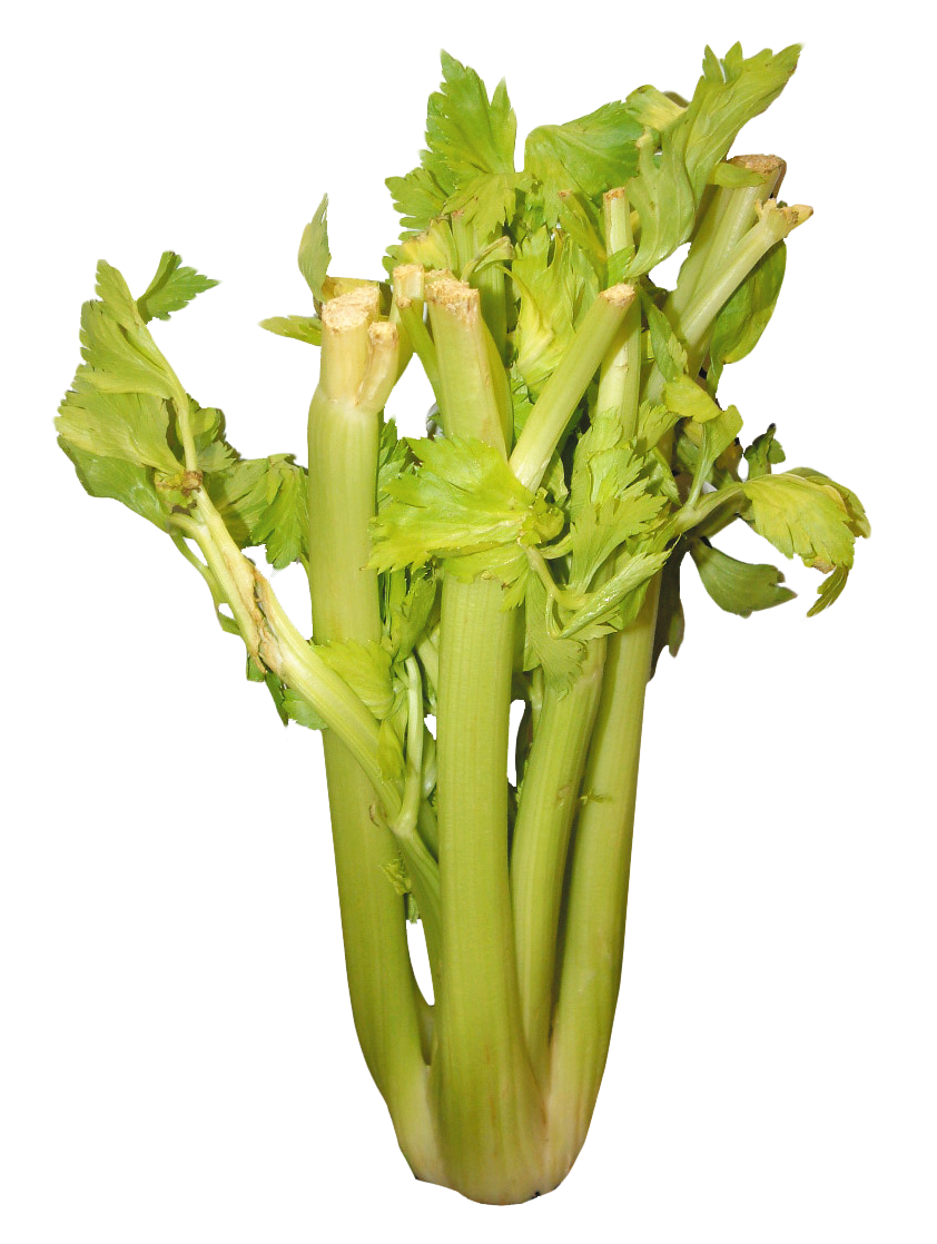 A Bunch Of Celery On A Black Background