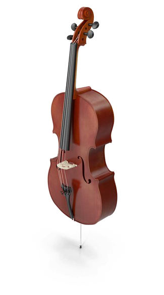 A Close Up Of A Cello