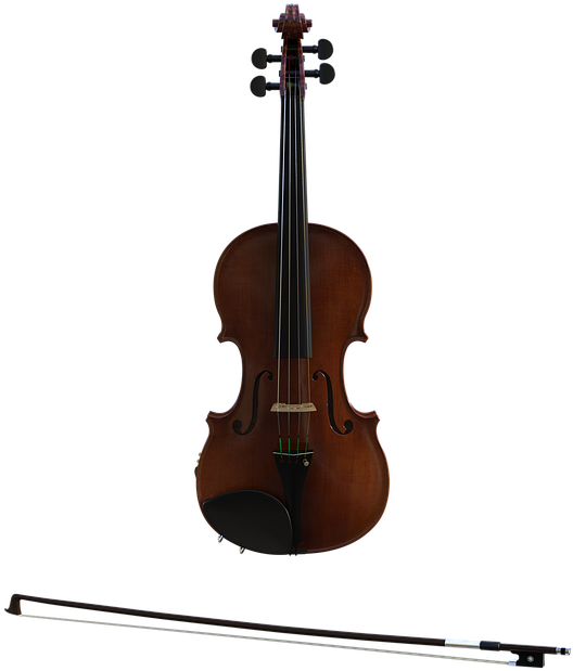 Cello Png 528 X 619