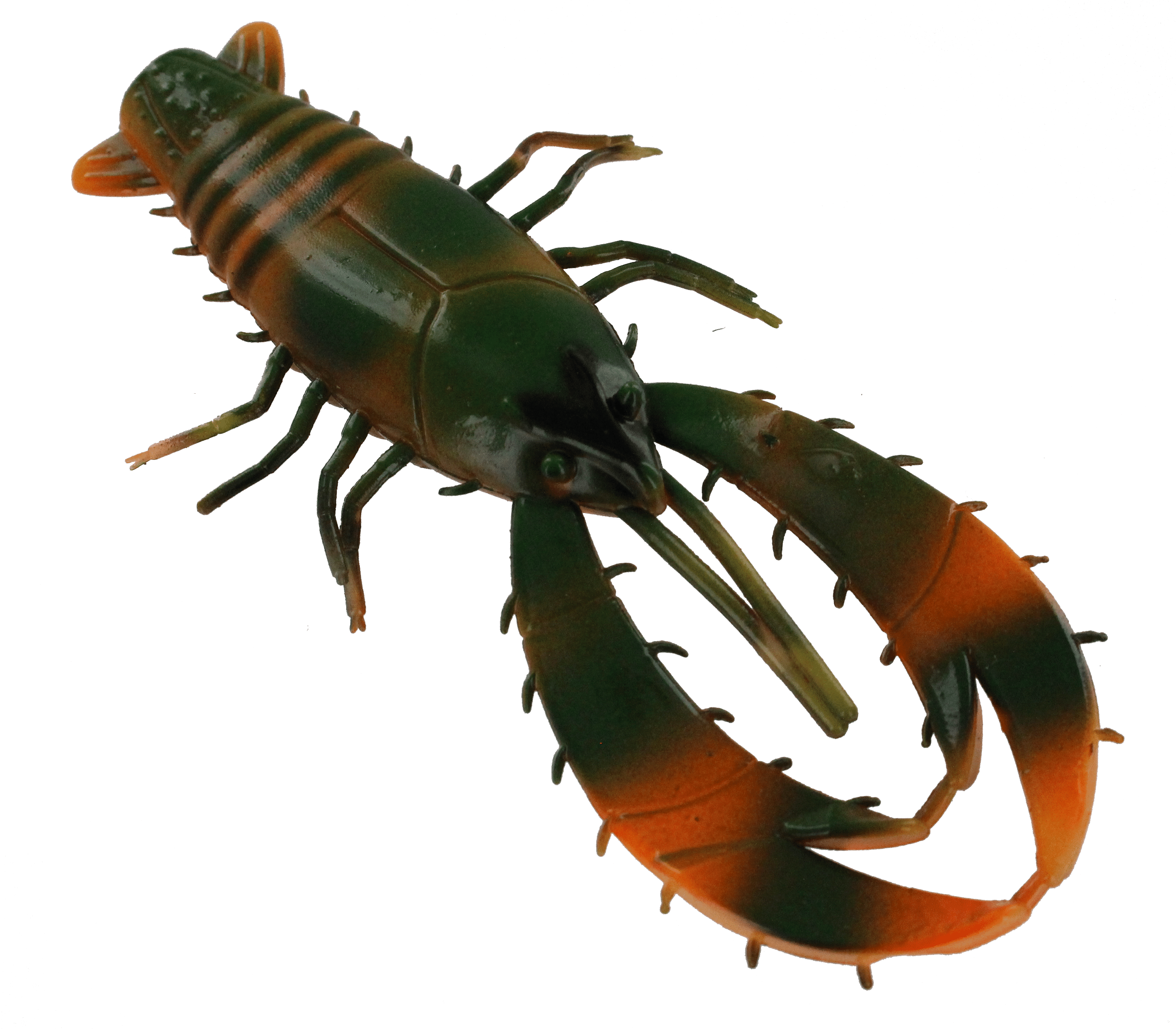 Free Centipede PNG Images With Transparent Backgrounds FastPNG