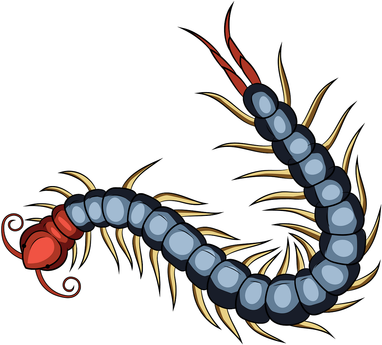 Centipede Png 1238 X 1120