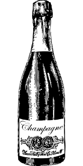 A Black And White Photo Of A Bottle