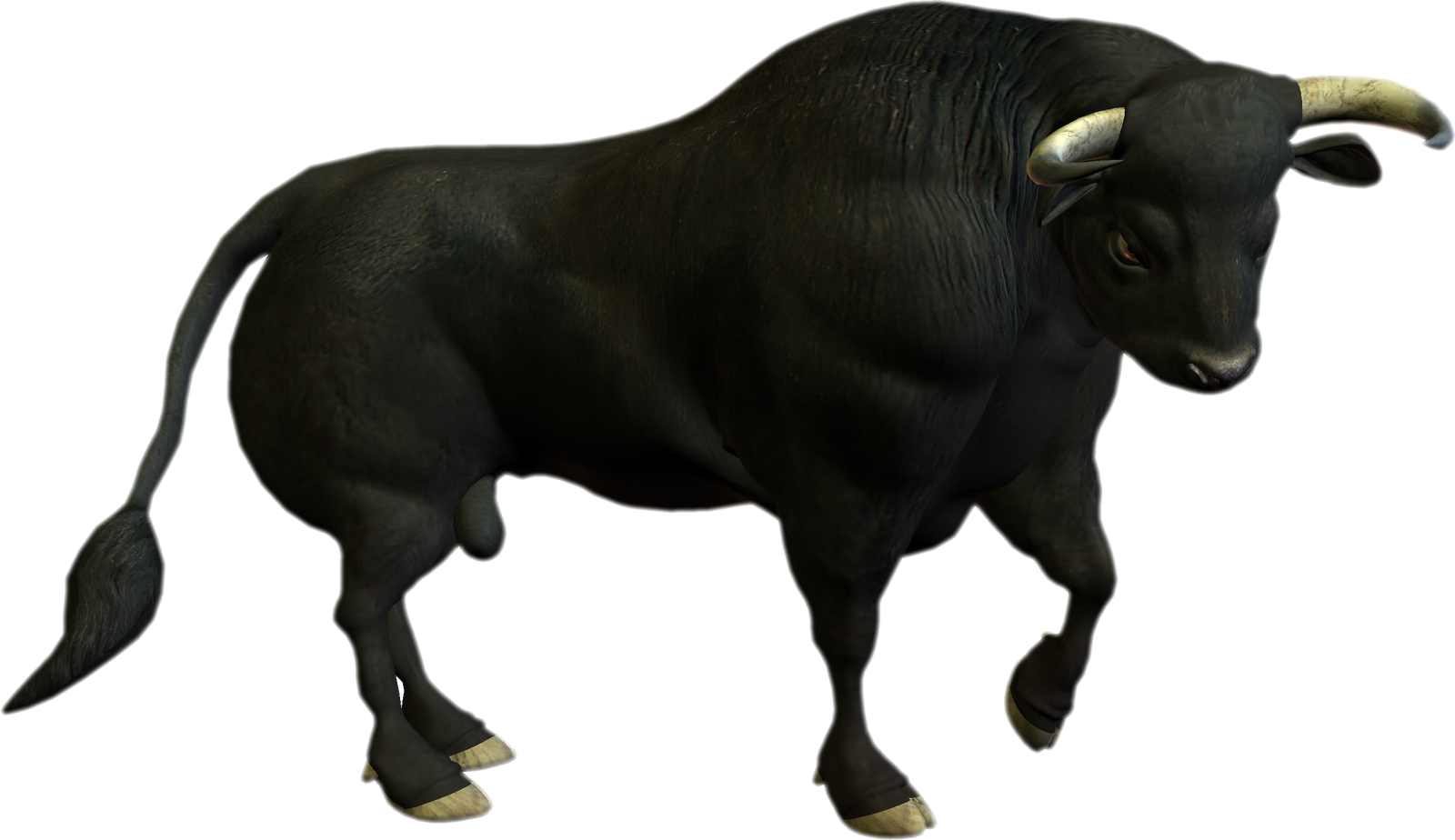 A Black Bull With Horns