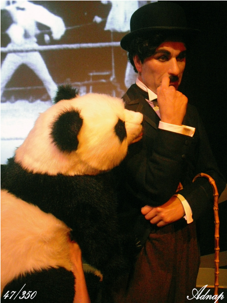 A Man In A Suit Holding A Panda