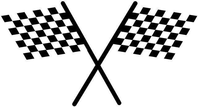 A Pair Of Checkered Flags