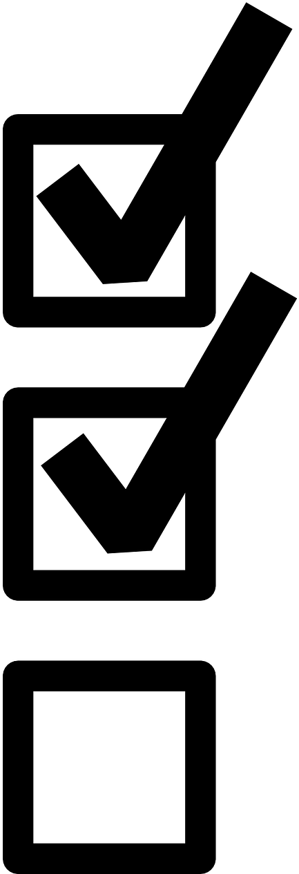 A Black And White Check Mark