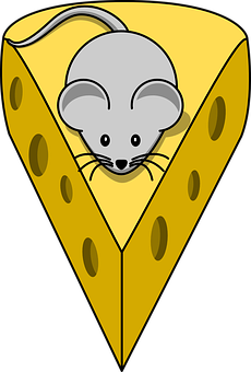 A Mouse On A Piece Of Cheese