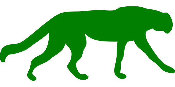A Green Silhouette Of A Cat