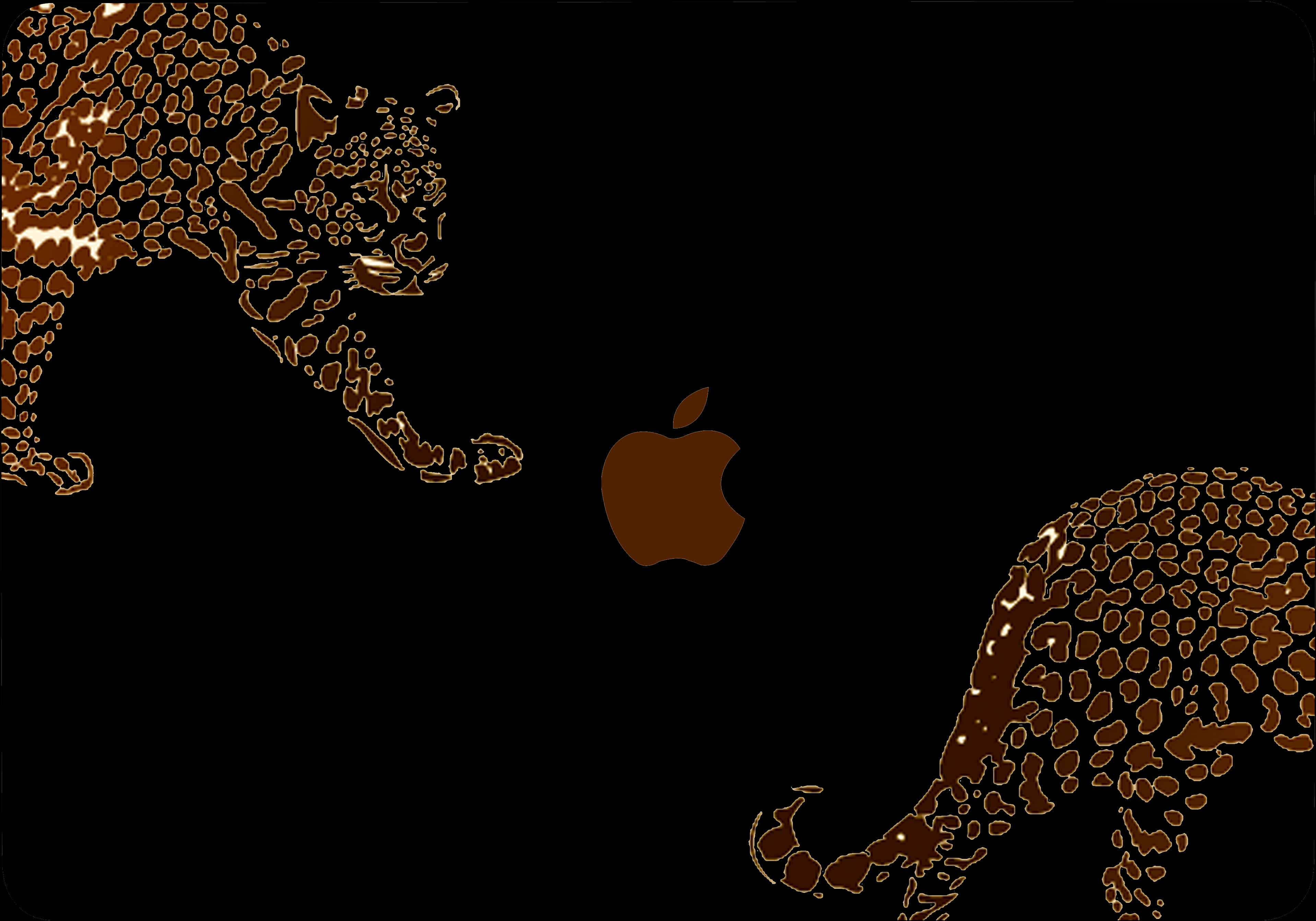 A Cheetahs With An Apple