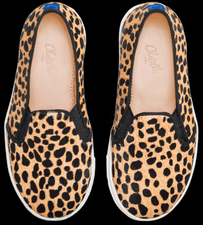 A Pair Of Leopard Print Shoes