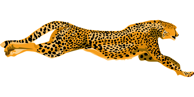 A Cheetah Running On A Black Background
