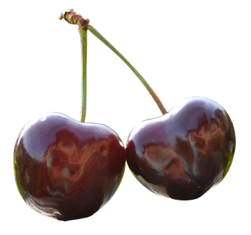 A Pair Of Cherries With Stems